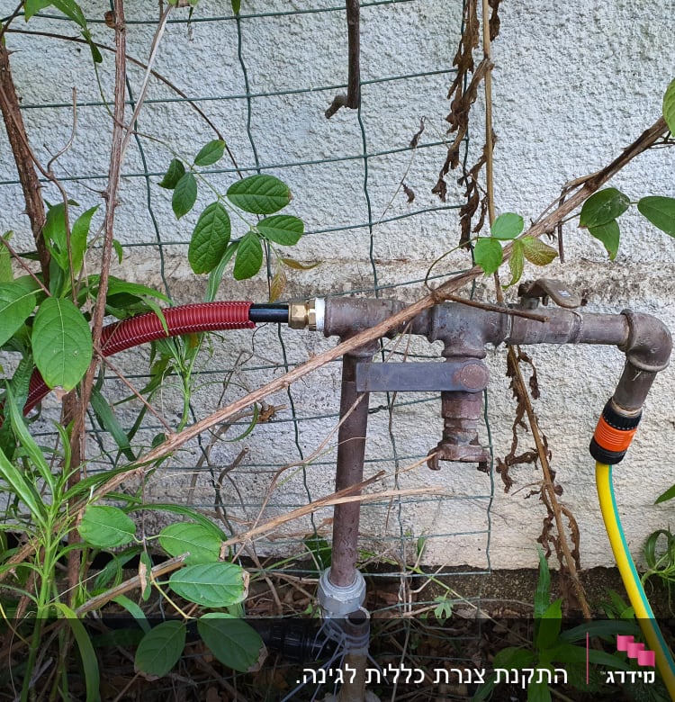 צינור מים עם מחבר פלסטיק וברז מתכת